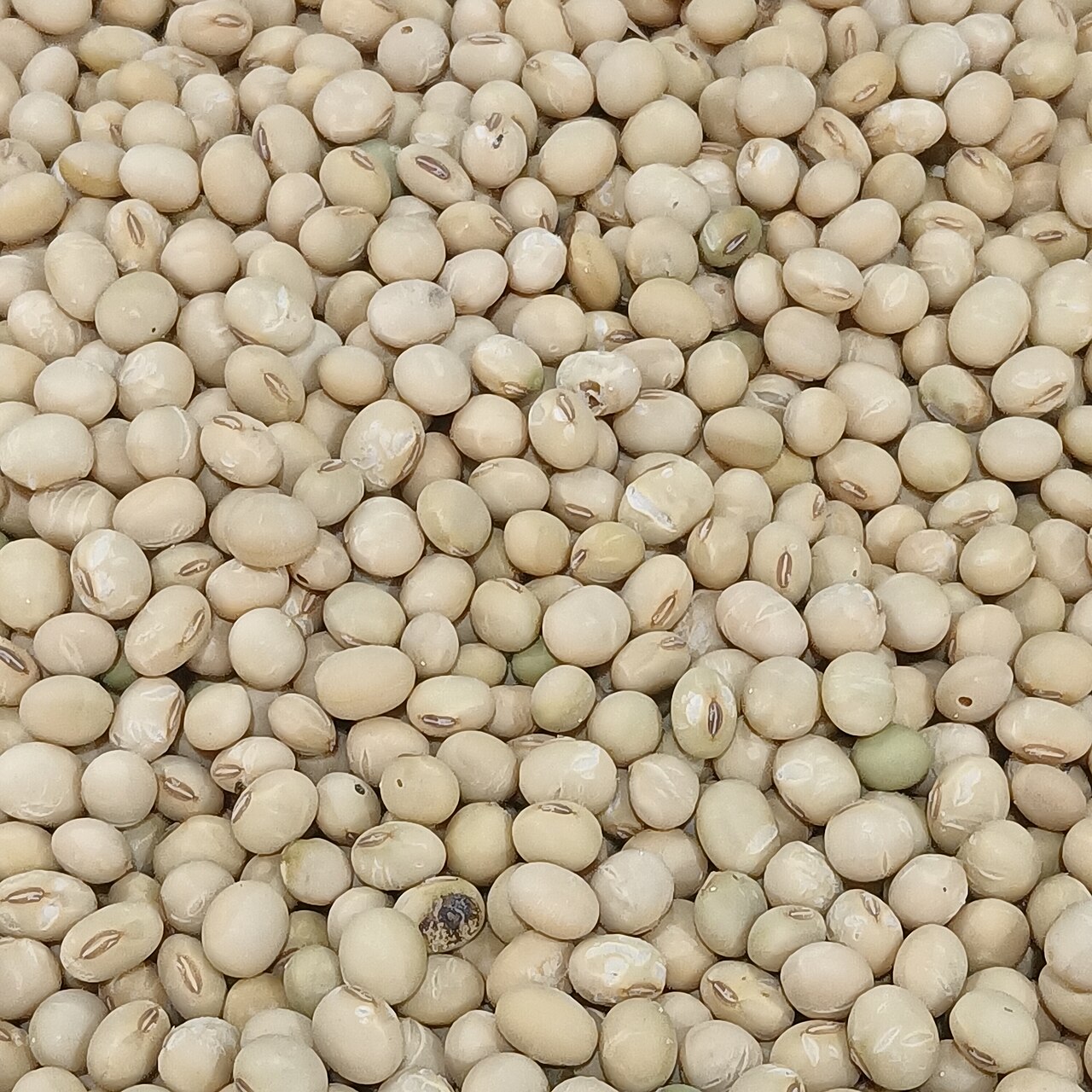 Soybean Products