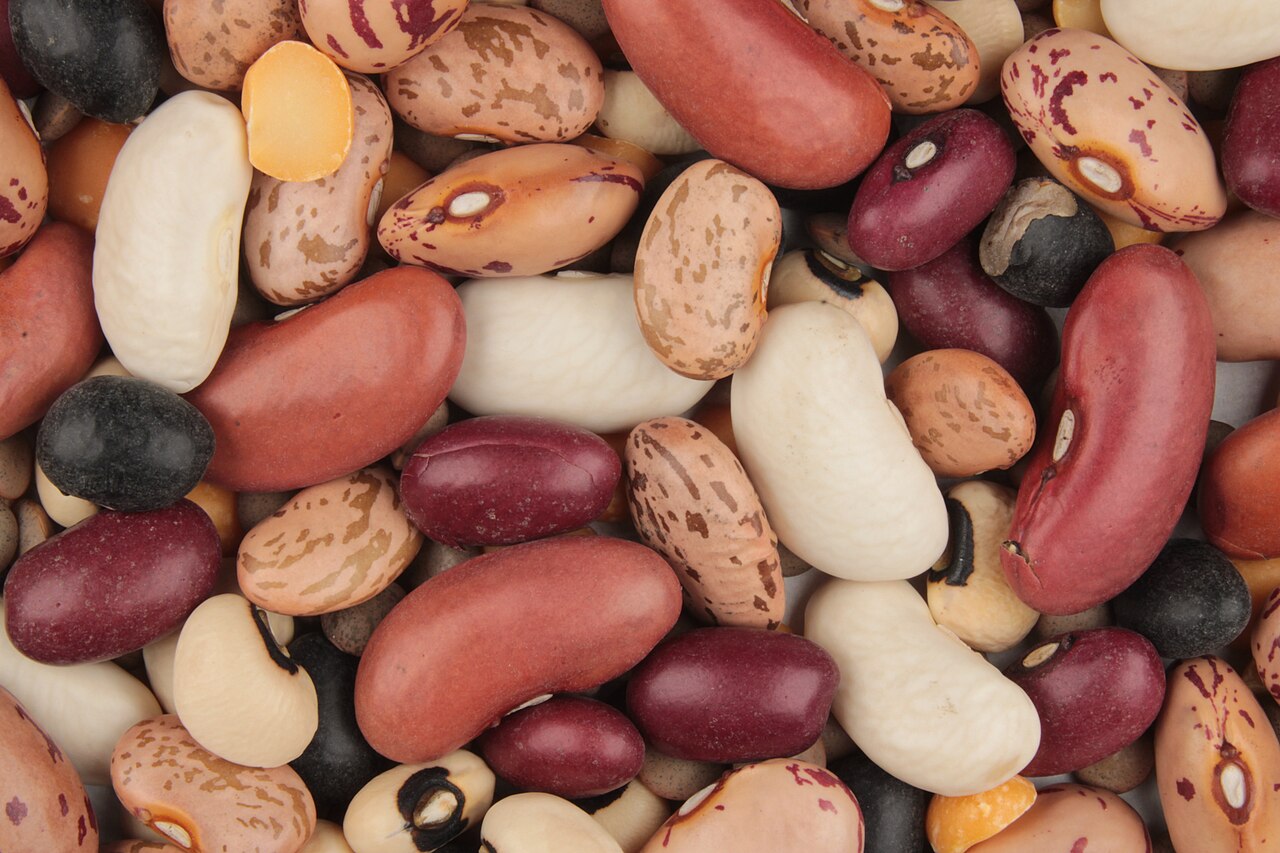 Pulses & Beans